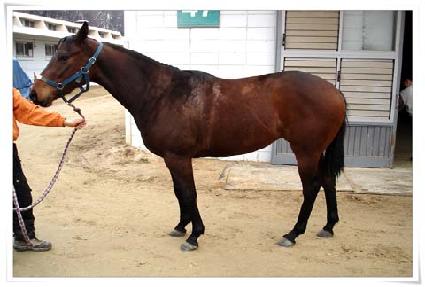 �ϱ� ����