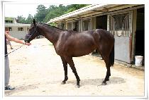 ��ǥ (HEUKPYO) ����