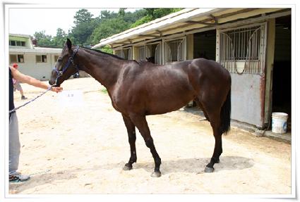 ��ǥ ����