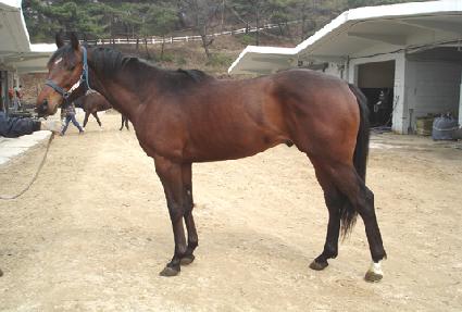 �������� ����