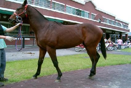 �������丮 ����