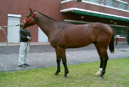 ��Ű���̾�Ʈ ����