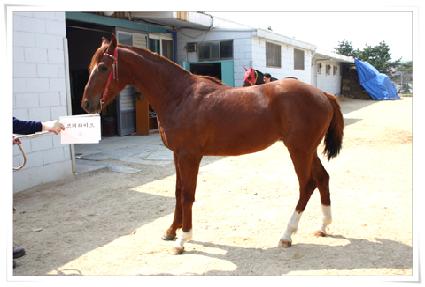 ���۶��̵� ����