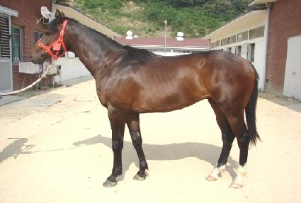 �ְ����� ����