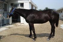 �췹�� (URESEONG) ����