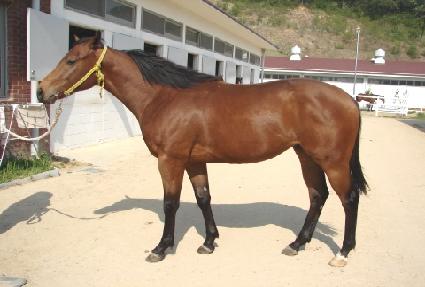 �λ����� ����