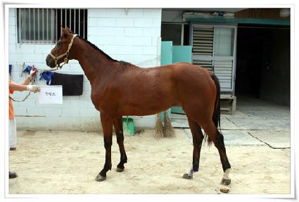 ������ ����