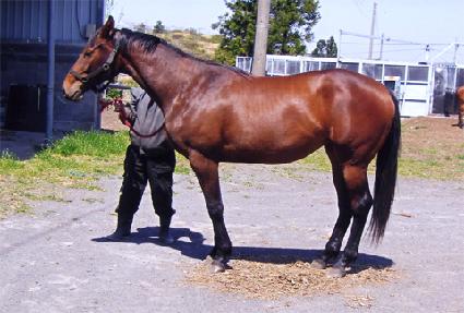 ����Ʈ�ǹ� ����