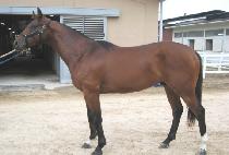 ������ (TAEJONGSAN) ����