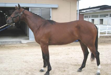 ������ ����