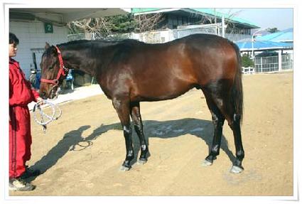 ���� ����