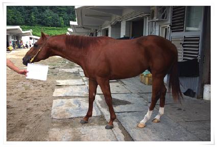 ���ν�Ʈ�� ����