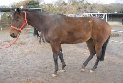 �������� ����