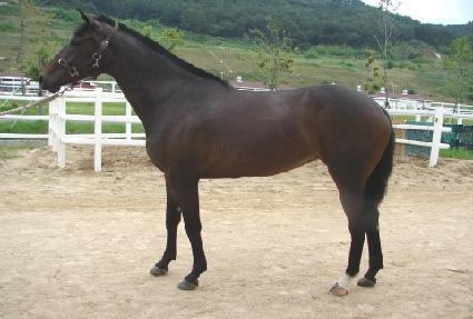 ������ȭ ����