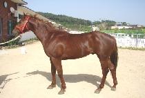 ���̰��� (JEONGI GANE) ����