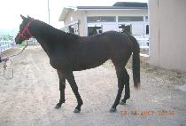 �¾���ٶ� (TAEYANGGWA BARAM) ����