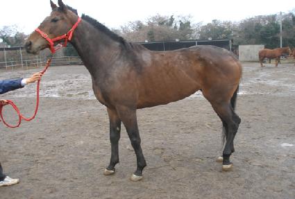 ��ٰ������� ����