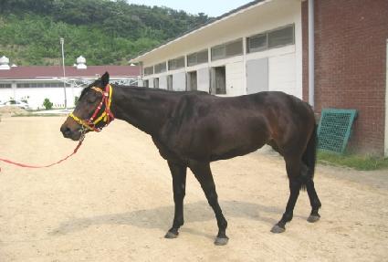 ���� ����