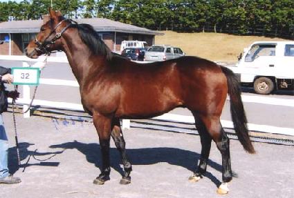 �ξ�Ÿ��ġ ����