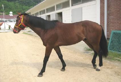 ��Ÿ�� ����