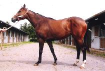 ����ź�� (SAEBYEOLTANSAENG) ����