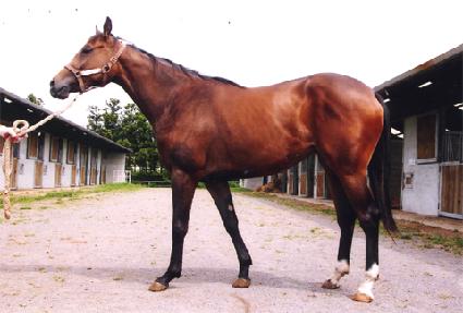 ����ź�� ����