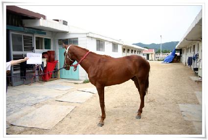 ����Ʈ������ ����