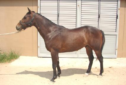 ��� ����