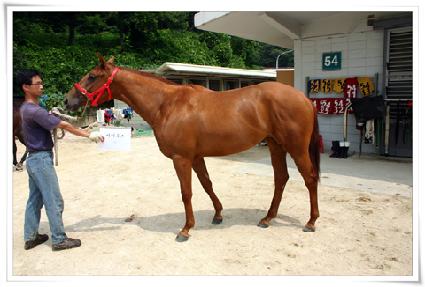 ���̿콺 ����