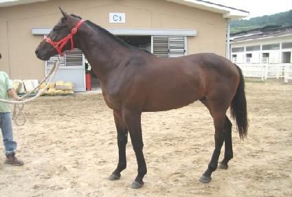 ���º��� ����