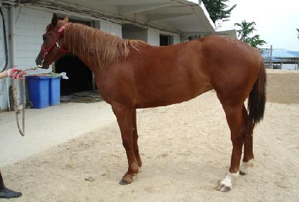 ������ ����