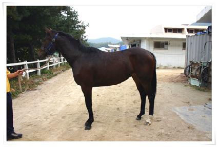 ��õǮ�Ӵ� ����