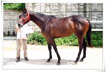 ���彺 (SUPEX) ����