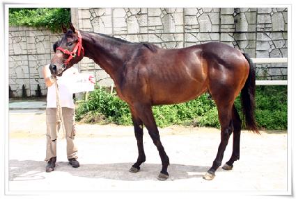 ���彺 ����