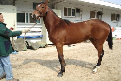 ������ ����