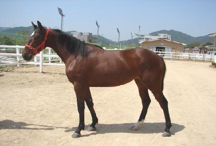 �������� ����