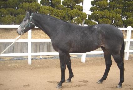 ��Ż�Ŀ� ����