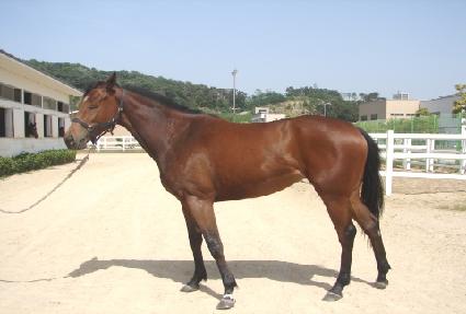 ������ ����