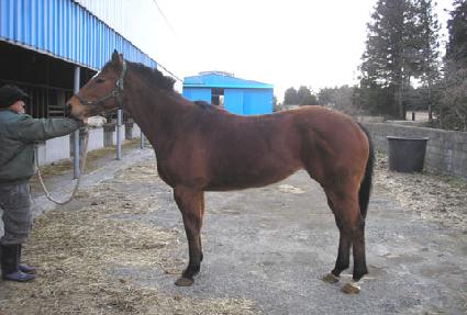 ������ ����