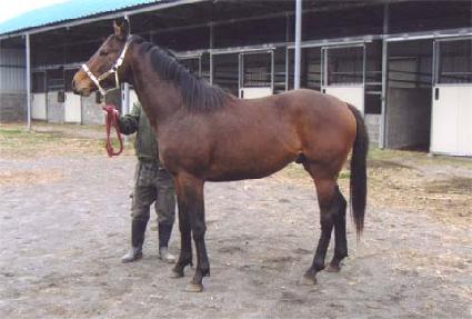 ���� ����