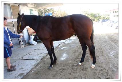 õ���� ����