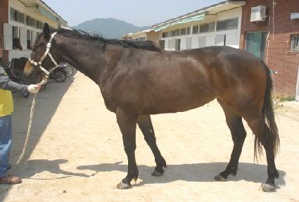 �����ȭ ����