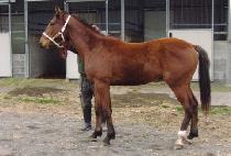 ������ħ (SAEBYEOK ACHIM) ����