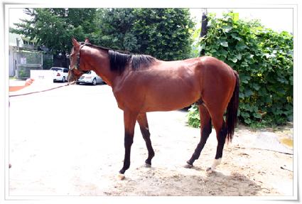 �Ÿ� ����