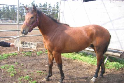 ū���� ����