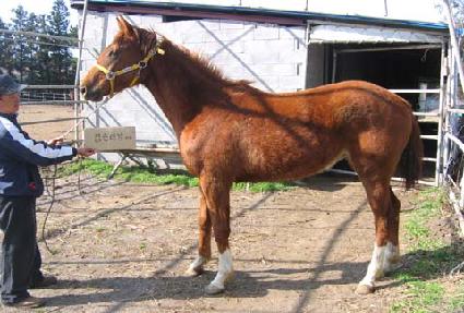 ������ ����