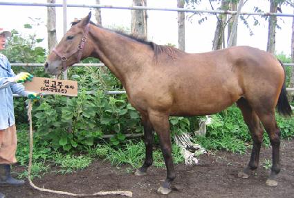 �������� ����