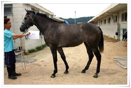 �Ͽ� ����