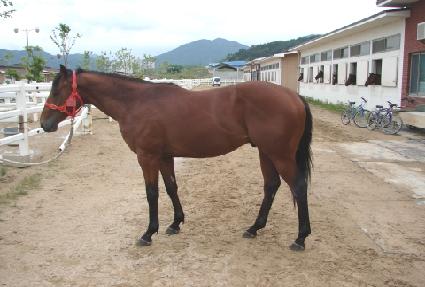 �����м� ����