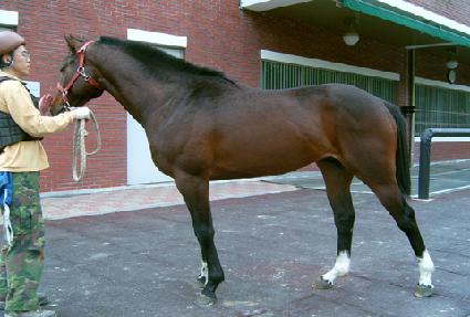 ��̵ι� ����